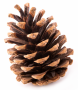 Raumduft – Holzkegel – Holz- und Wohlfühlduft (unisex)