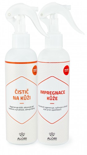 Lederpflege- und Schutz-Set