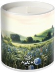 Sojakerze – Morgentau – weiß 300 ml
