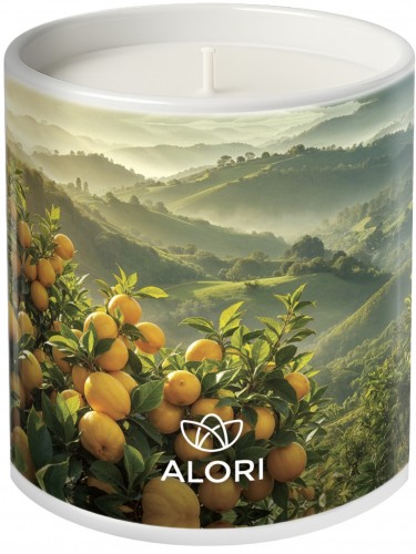 Sojakerze – Zitrus – weiß 300 ml