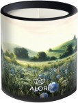 Sojakerze – Morgentau – schwarz 300 ml