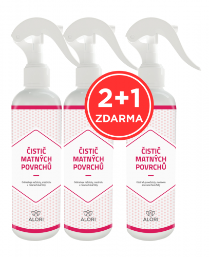 Reiniger für matte Oberflächen 2+1 gratis