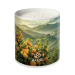 Sojakerze – Zitrus – weiß 450 ml