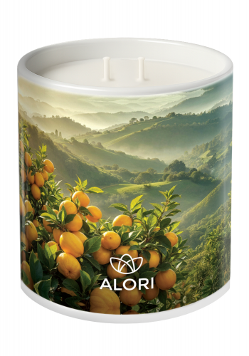 Sojakerze – Zitrus – weiß 450 ml