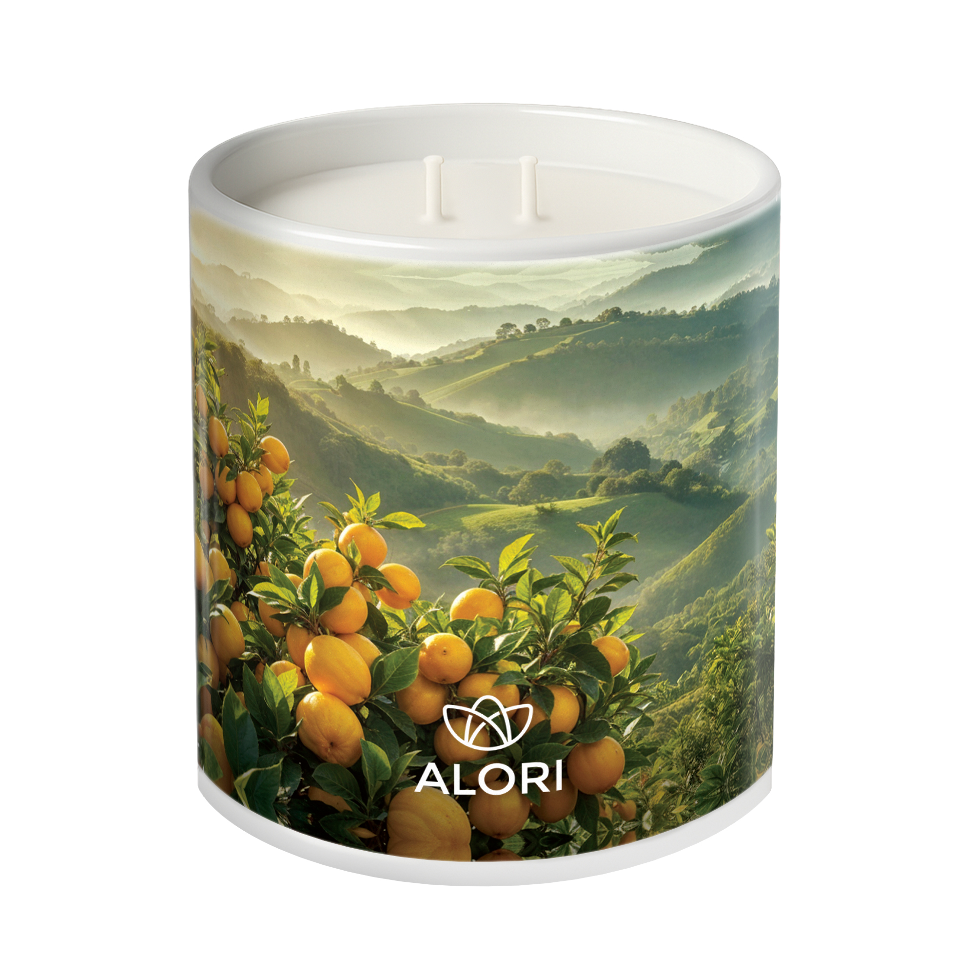 Sojakerze – Zitrus – weiß 450 ml