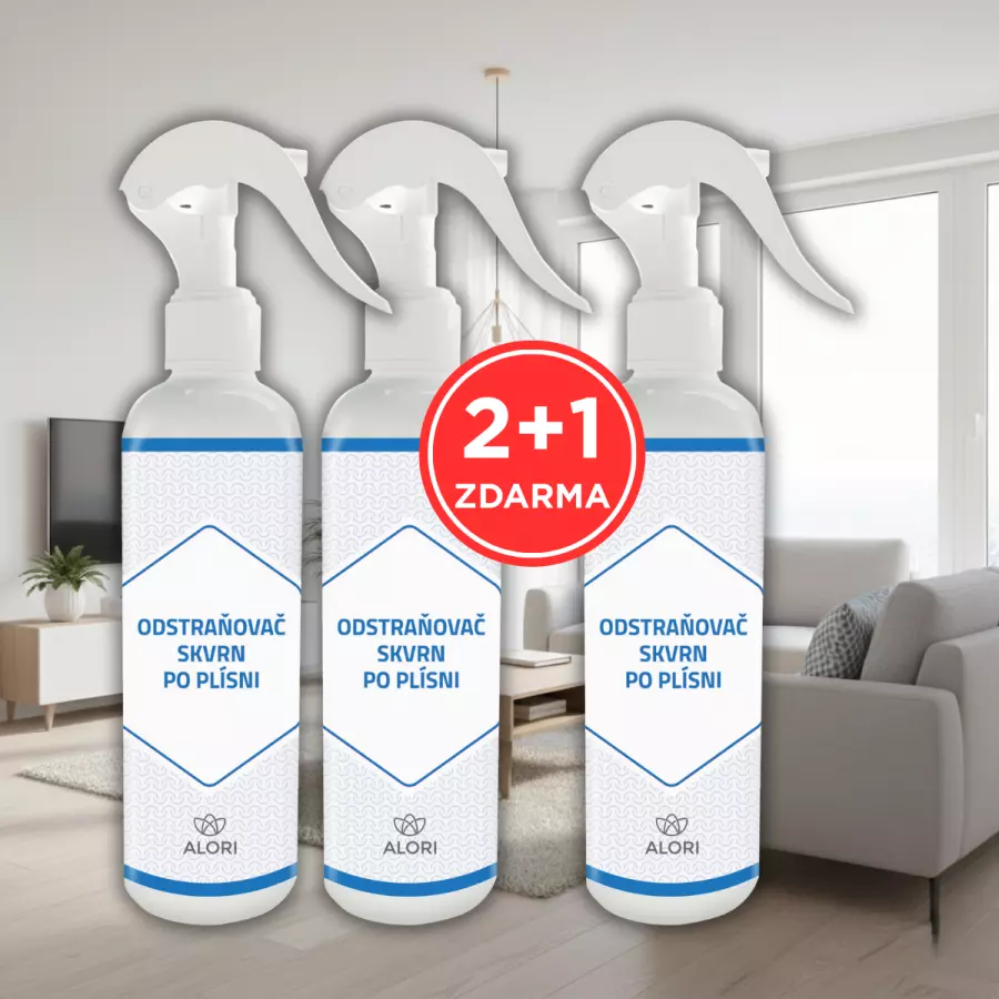 Schimmelfleckenentferner 2+1 gratis